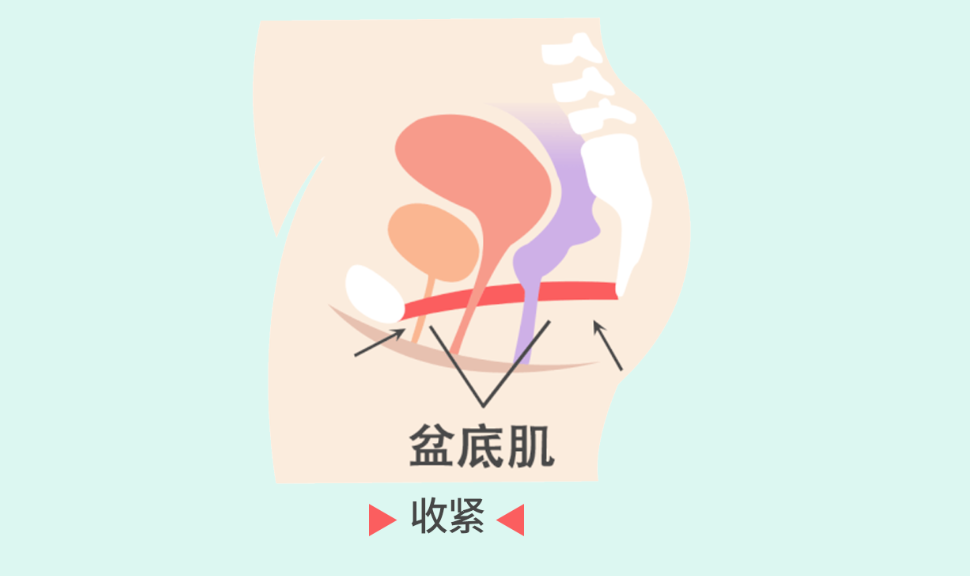 產后康復1.png