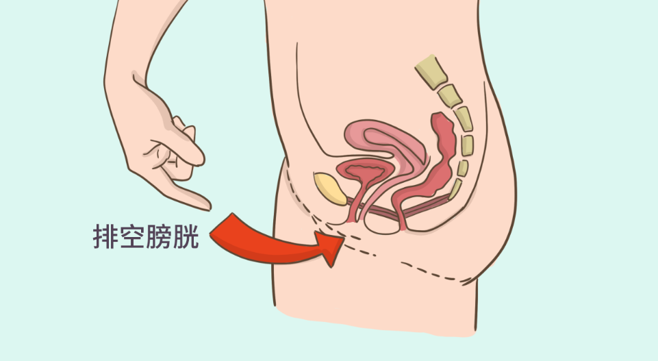 產后康復6.png